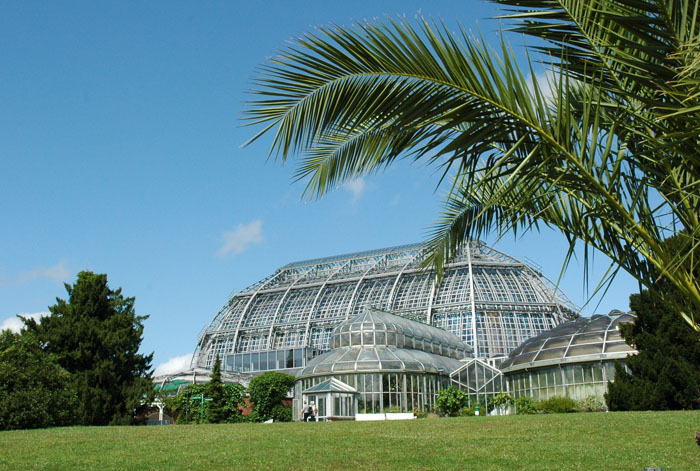 Berlin spart Energie Solarenergie im Botanischen Garten entdecken_Grafik_BGBM