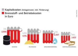 Guenstiges Heizen mit Holzpellets Hackschnitzeln und Scheitholz_Grafik_FNR