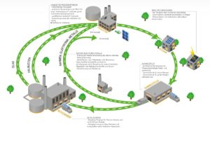 Solarmodule So funktioniert das Recycling_Grafik_Kaeferportal