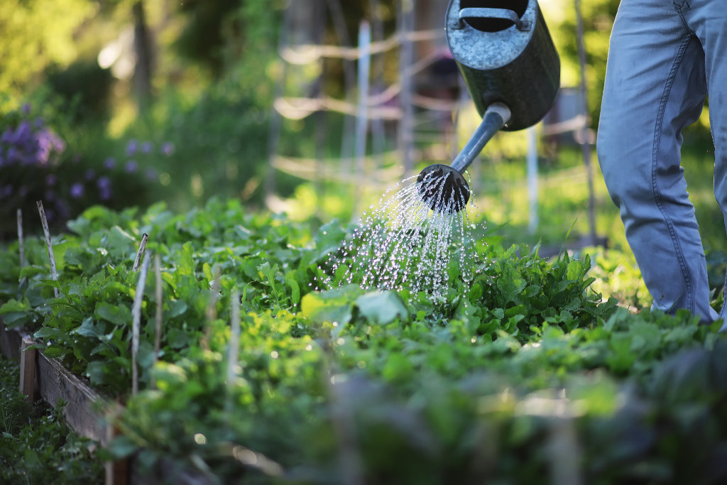 Nachhaltige Gartenbewässerung